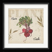 Farmers Feast IV Framed Print