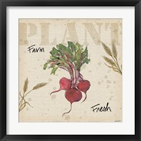 Farmers Feast IV Framed Print