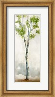 Watercolor Birch Trees I Fine Art Print