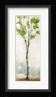 Watercolor Birch Trees I Fine Art Print