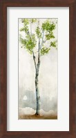 Watercolor Birch Trees I Fine Art Print