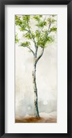 Watercolor Birch Trees II Fine Art Print