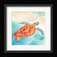 Sea Splash Sea Turtle Framed Print
