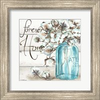 Cotton Boll Mason Jar II Home Fine Art Print
