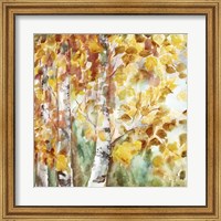 Watercolor Fall Aspens Square Fine Art Print