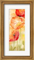 Watercolor Poppy  Meadow Spice Panel II Fine Art Print