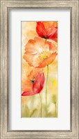 Watercolor Poppy  Meadow Spice Panel II Fine Art Print