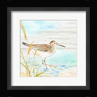 Sandpiper Beach I Framed Print