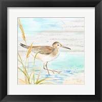 Sandpiper Beach I Framed Print