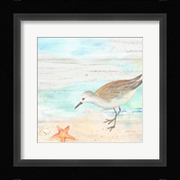 Sandpiper Beach II Framed Print
