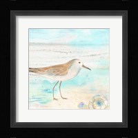 Sandpiper Beach III Framed Print
