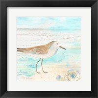 Sandpiper Beach III Framed Print