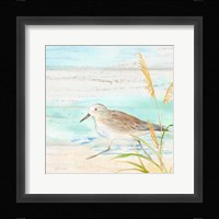 Sandpiper Beach IV Framed Print