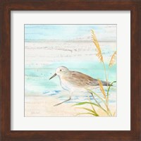 Sandpiper Beach IV Fine Art Print