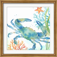Sea Life Serenade II Fine Art Print