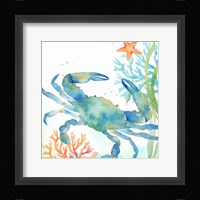 Sea Life Serenade II Fine Art Print