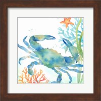 Sea Life Serenade II Fine Art Print