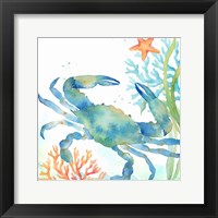 Sea Life Serenade II Framed Print