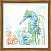 Sea Life Serenade III Fine Art Print