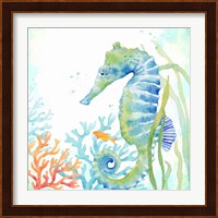 Sea Life Serenade III Fine Art Print