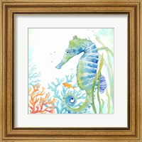 Sea Life Serenade III Fine Art Print