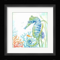 Sea Life Serenade III Fine Art Print