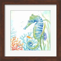 Sea Life Serenade III Fine Art Print