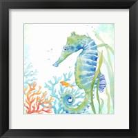 Sea Life Serenade III Framed Print