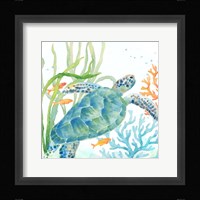 Sea Life Serenade IV Fine Art Print