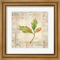 Nature Walk Leaves II Fine Art Print