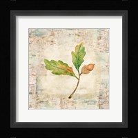 Nature Walk Leaves II Framed Print