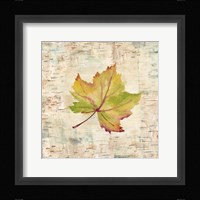 Nature Walk Leaves III Framed Print