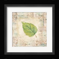 Nature Walk Leaves IV Framed Print