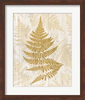 Golden Fern I Fine Art Print