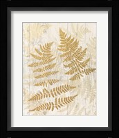 Golden Fern II Fine Art Print