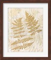 Golden Fern II Fine Art Print