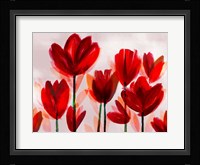 Contemporary Poppies Red Fine Art Print