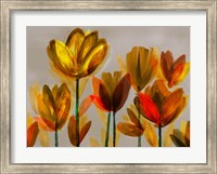 Contemporary Poppies Yellow Fine Art Print