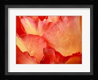 Fire Fine Art Print