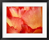 Fire Fine Art Print