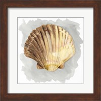 Shells on Grey V Fine Art Print