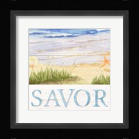 Savor the Sea III Framed Print