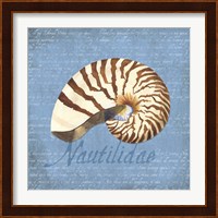 Oceanum Shells Blue III Fine Art Print