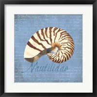 Oceanum Shells Blue III Fine Art Print