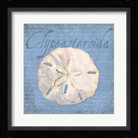 Oceanum Shells Blue IV Framed Print