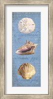 Oceanum Shell Panel Blue I Fine Art Print