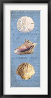 Oceanum Shell Panel Blue I Fine Art Print