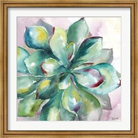 Succulent Watercolor I Fine Art Print