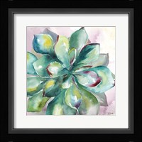 Succulent Watercolor I Fine Art Print