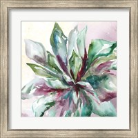 Succulent Watercolor II Fine Art Print